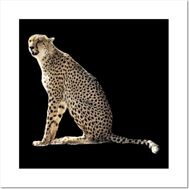Cheetah in Kenya / Africa Wall Art by T-SHIRTS UND MEHR